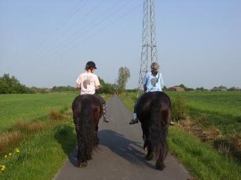Zwei Reiterinnen auf Friesen auf der Straße von hinten