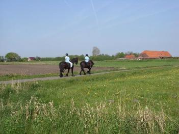 Zwei Reiterinnen reiten in der Ferne vorbei